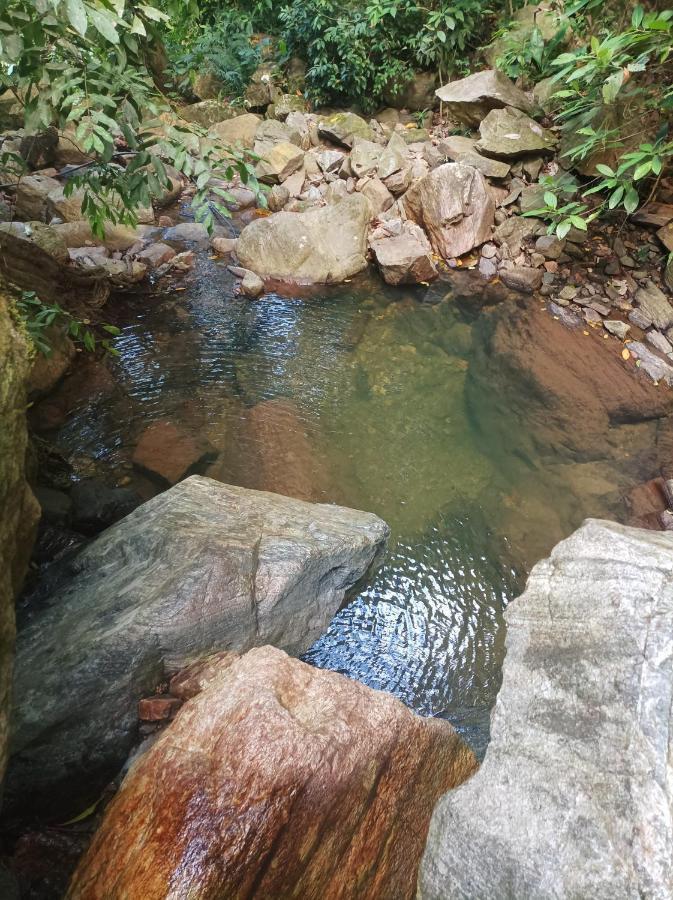 Finca La Selvita Buritaca Esterno foto