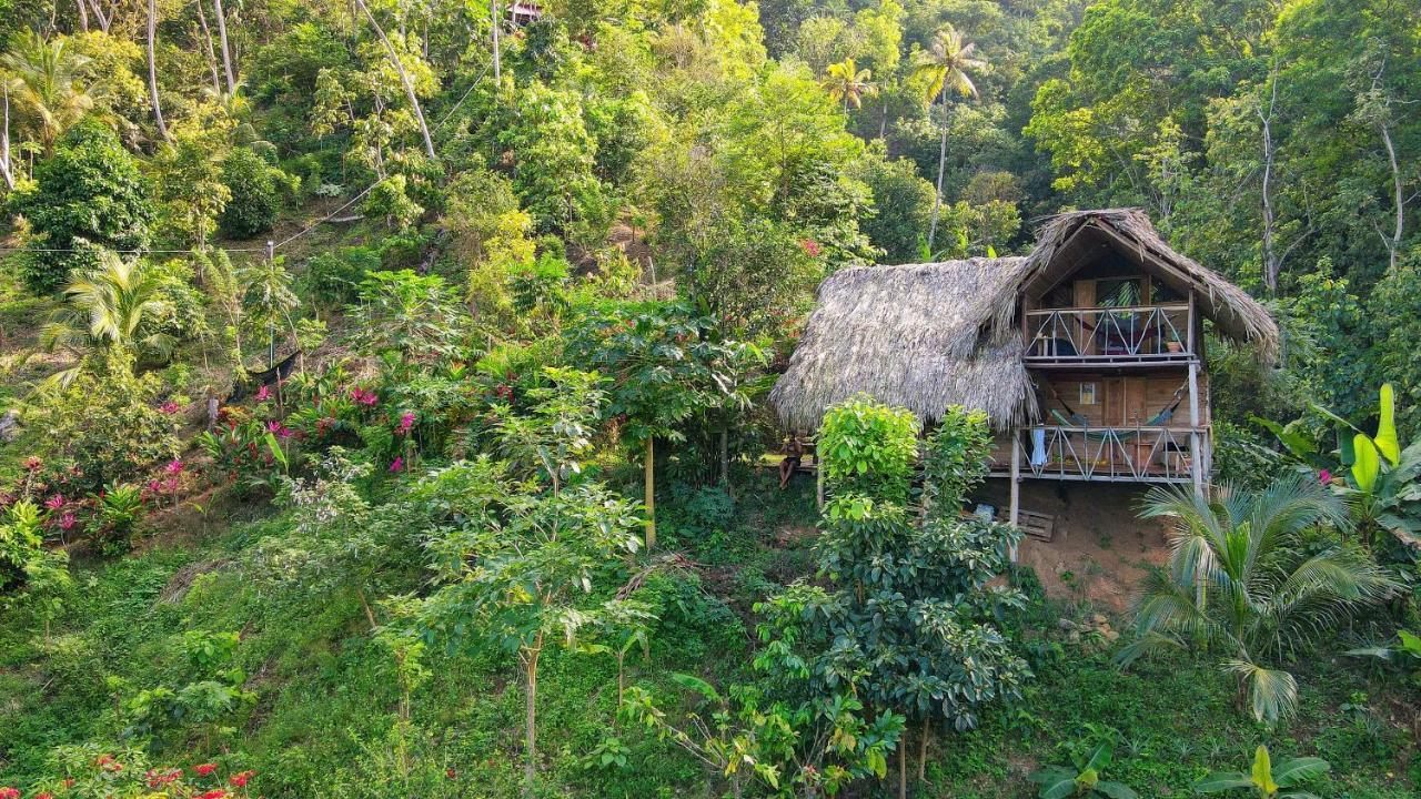 Finca La Selvita Buritaca Esterno foto