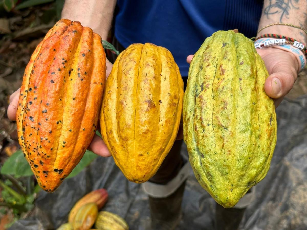 Finca La Selvita Buritaca Esterno foto