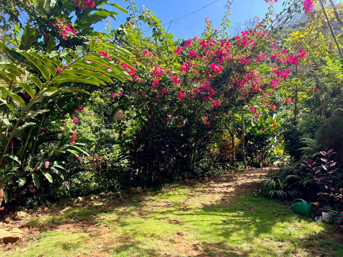 Finca La Selvita Buritaca Esterno foto