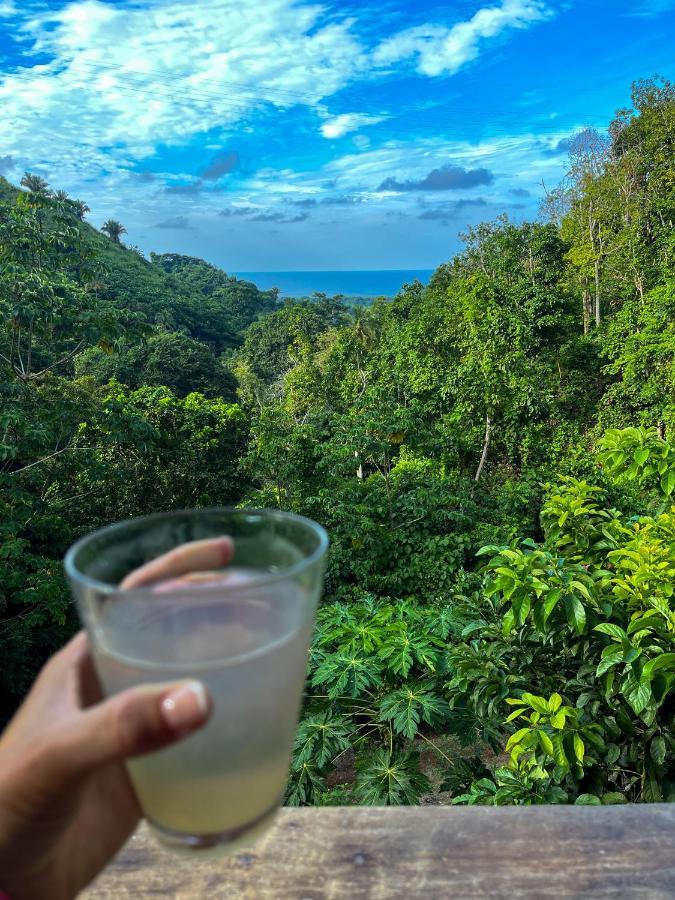 Finca La Selvita Buritaca Esterno foto