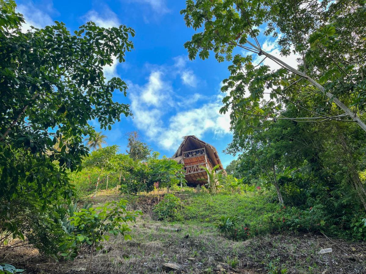 Finca La Selvita Buritaca Esterno foto