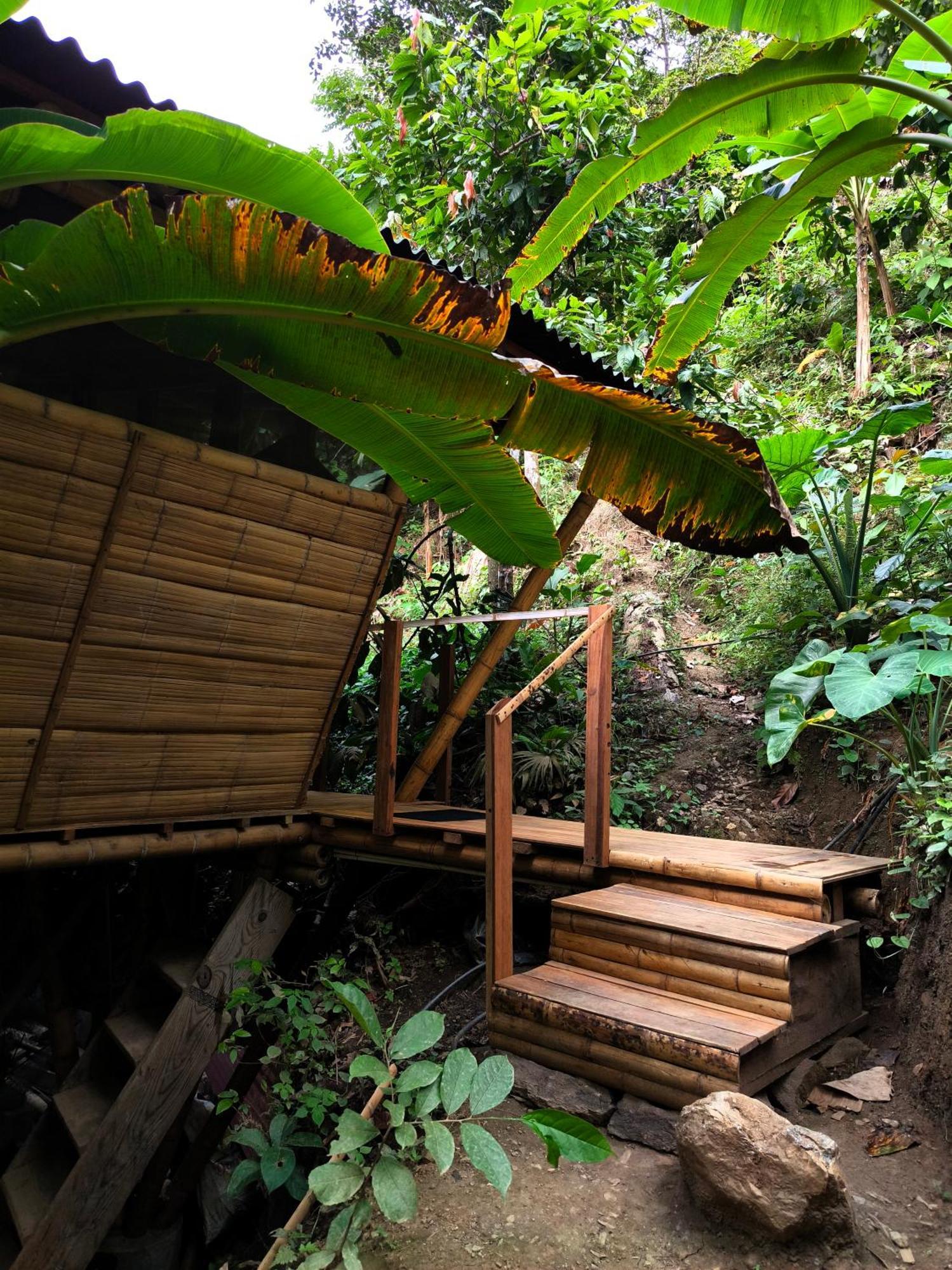 Finca La Selvita Buritaca Esterno foto
