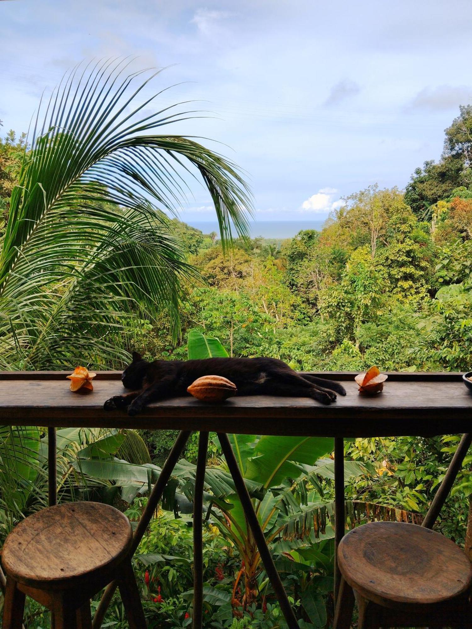 Finca La Selvita Buritaca Esterno foto